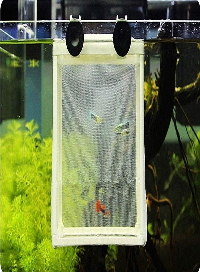 COMOK Fish Hatchery Breeder Box Aquarium Separation Net Nylon Incubator Mesh Fish Breeding Tanks Isolation Box White Square 20PCS - Image 5